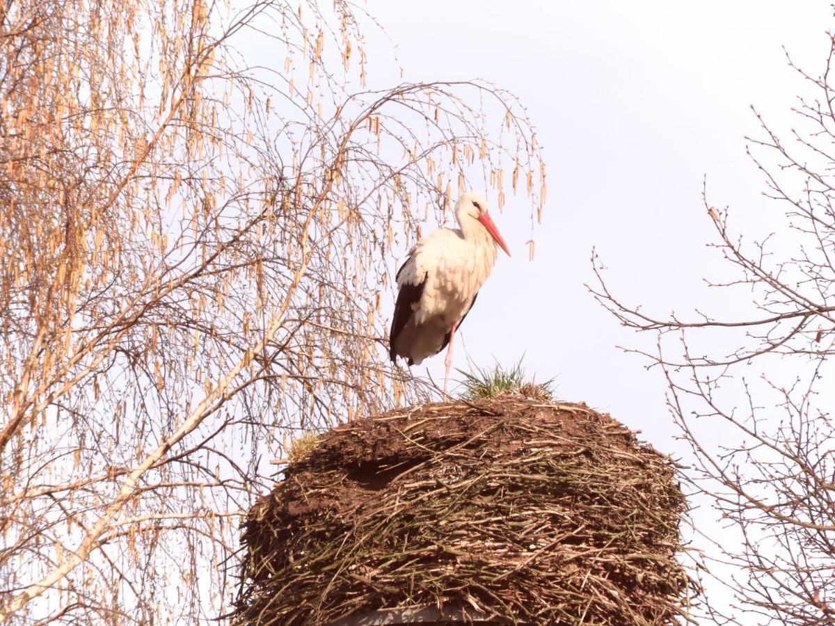 Fewo Gut Zarrentin Zarrentin  Exteriér fotografie
